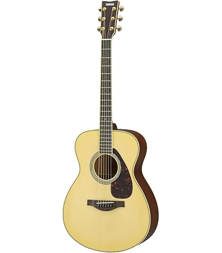 Amazon.com: Seagull Maritime SWS Natural w/Q1T Pickup : Musical